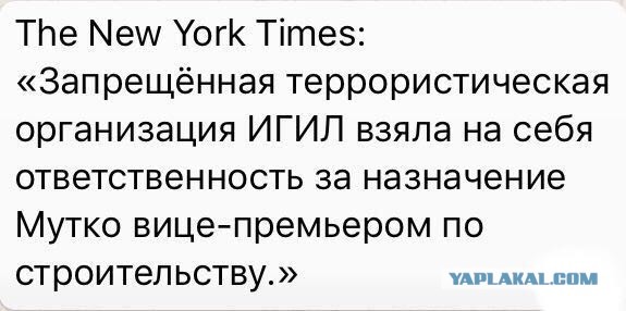Чуток картинок 18.11.19