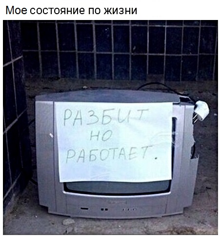 Картинки с надписями, истории и анекдоты 15.12.19