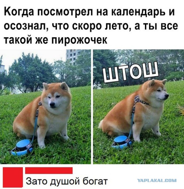 Картинок немного 25.12.19