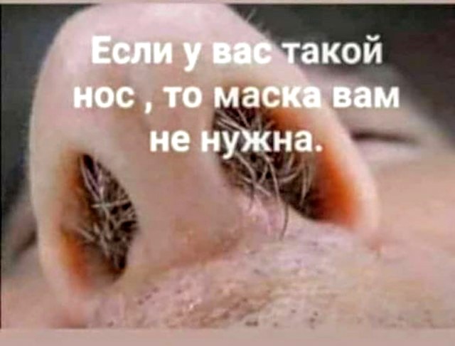 Немного картинок для настроения 09.04.20