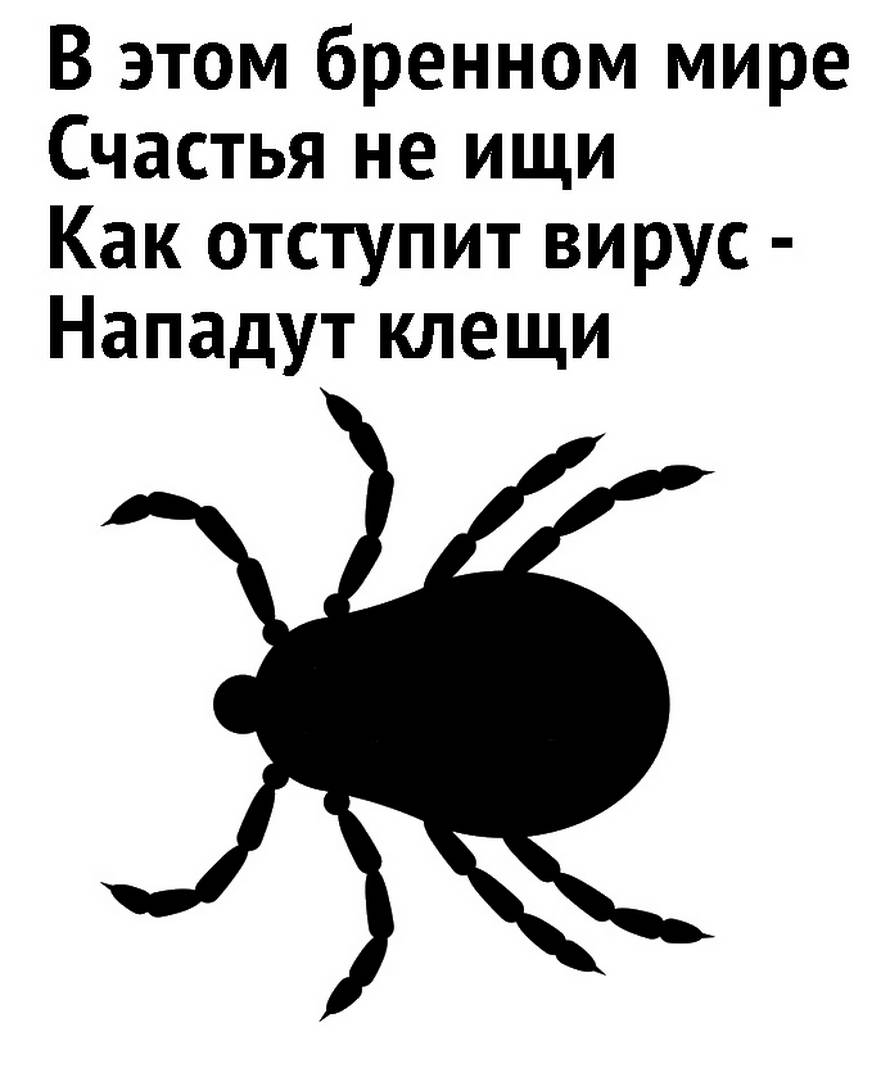 14253957.jpg