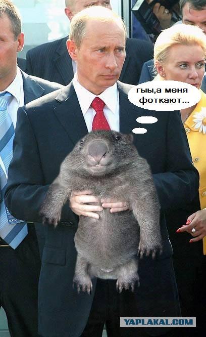 Фотожаба: Путин и зверь