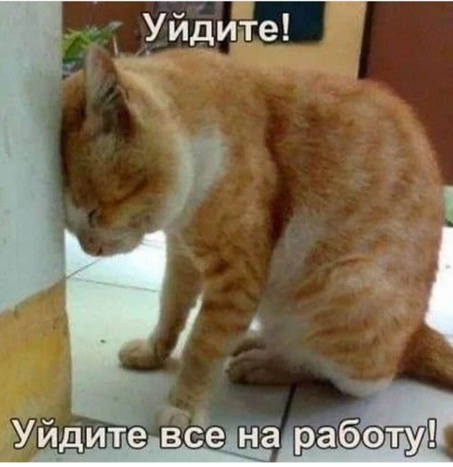 Немного картинок для настроения 118