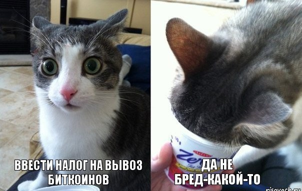 Придумай закон