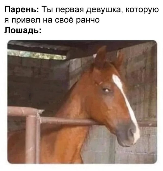 Снова 25 26.12.20