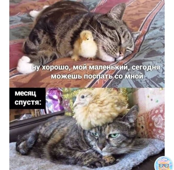 15075957.jpg