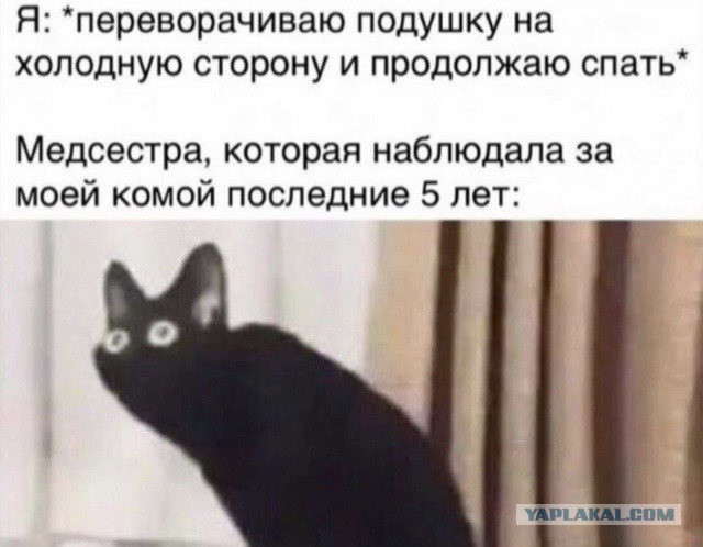 Кретинизмы из KV и KO 27.01.21