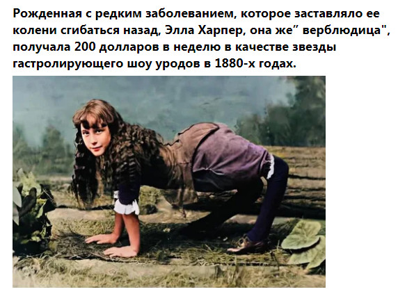 Фото-винегрет-3. Картинки ниапчём и обо всём