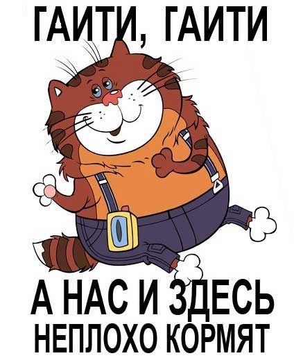 Президент Гаити Жовенель Моиз убит во время нападения неизвестных на его резиденцию