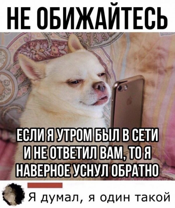 Картинки и мемы для настроения 28.07.2021