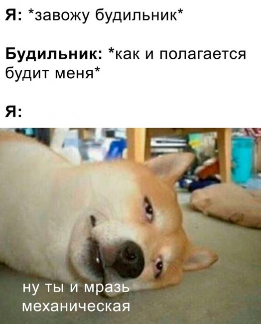 Картинки и мемы для настроения 25.11.2021