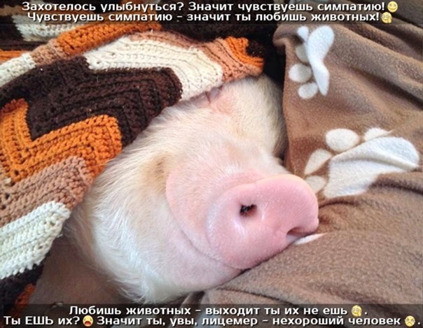 Мама беспокоится за детишек