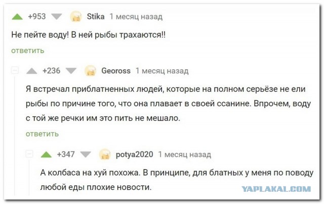 Забавные комментарии из социальных сетей 11.04.22