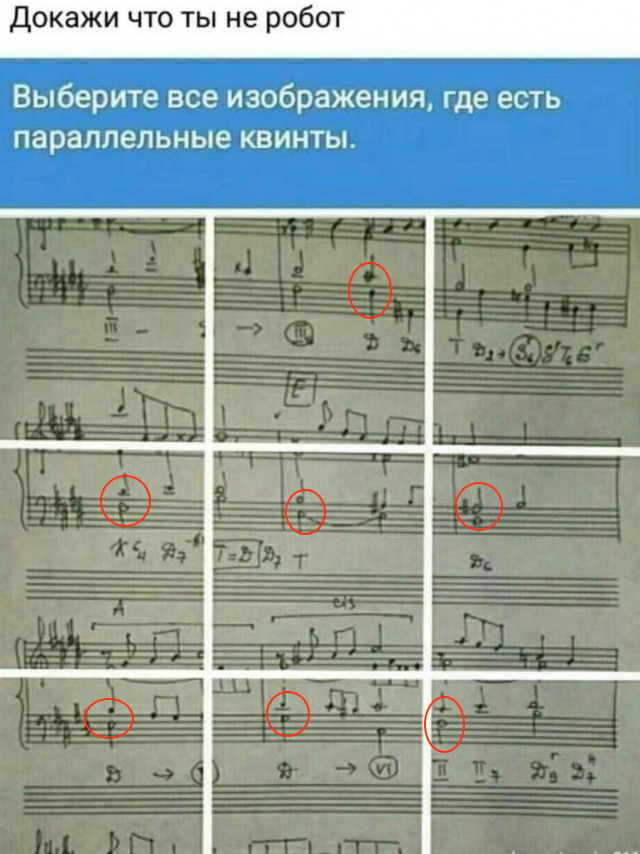 Докажите, что вы не робот