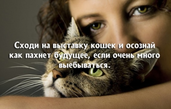 Картинки и мемы для настроения - 21