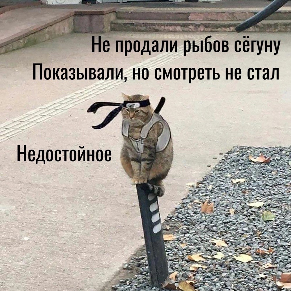 16799957.jpg