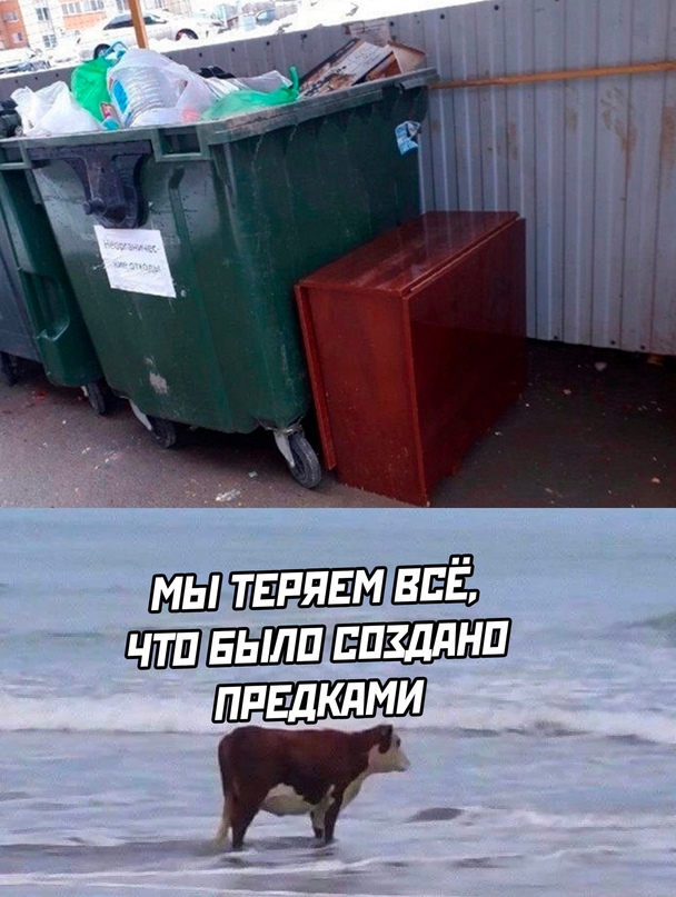 Весёлый полтишок 17.01.23