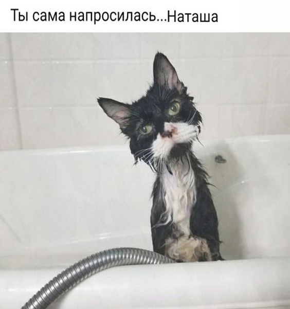 Так себе картинки 07.05.23