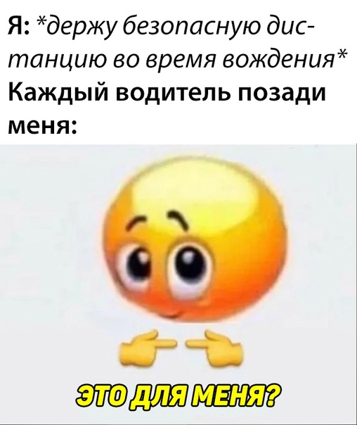 Весёлый полтишок 08.05.23