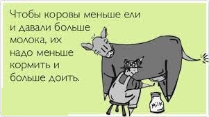 В России подорожают смартфоны и компьютеры. Таможенный сбор вырастет во благо отечественного производителя
