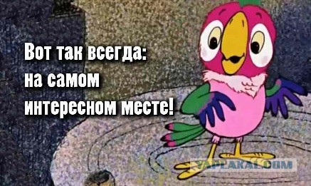 Жена депутата