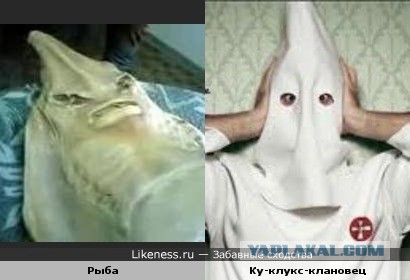 Красноярский педофил