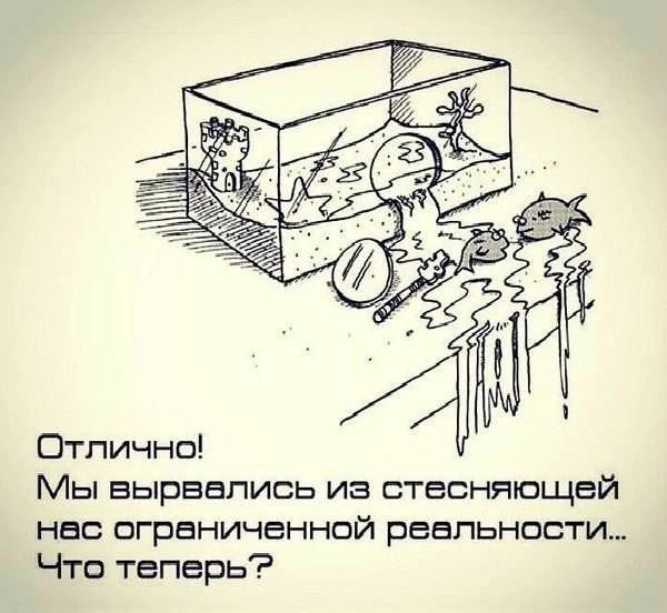 11 порция соуса нежность