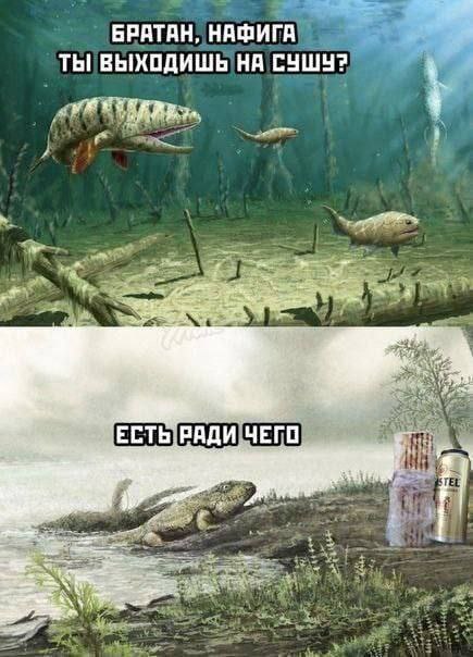 Химия и жизнь