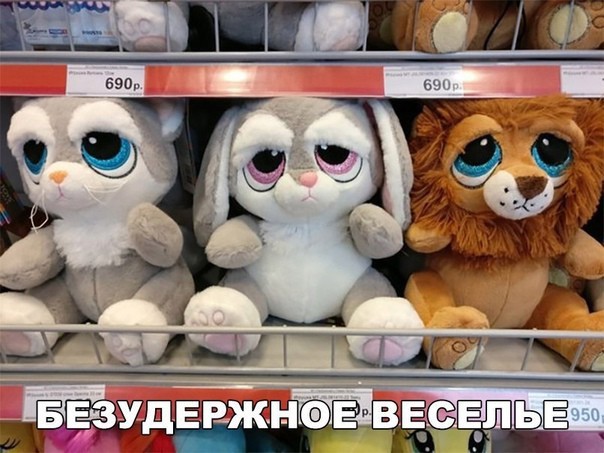 Кретинизмы из KV и KO 10-03-2024