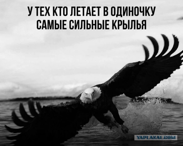 Так себе картинки 05.06.24