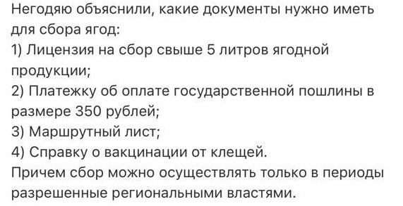Сходил блть за ягодой