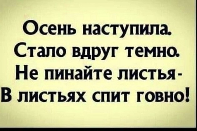 Так себе картинки 08.10.24