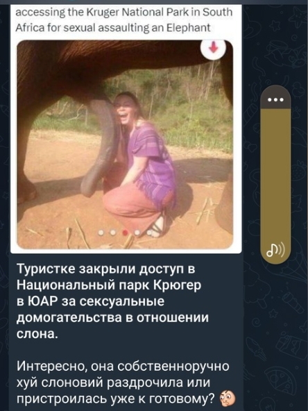 Весёлый полтишок 11.11.24