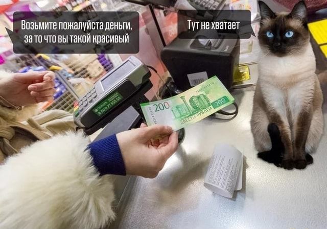 Фотогеничность