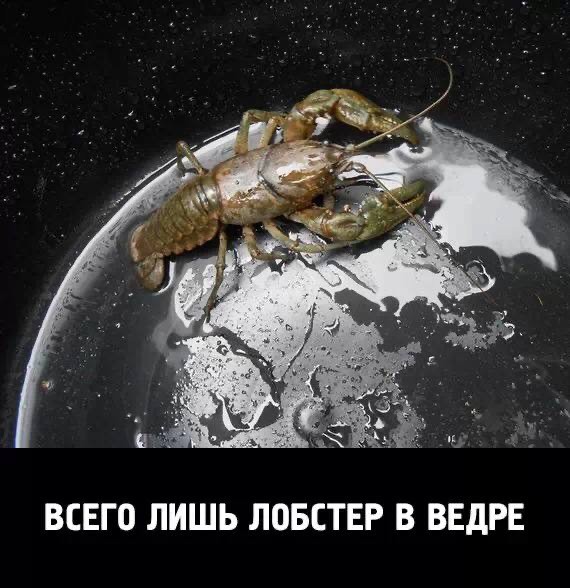 Всего понемногу. От 10.01.2025