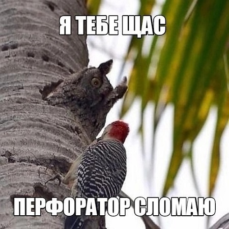 Доставка новостей