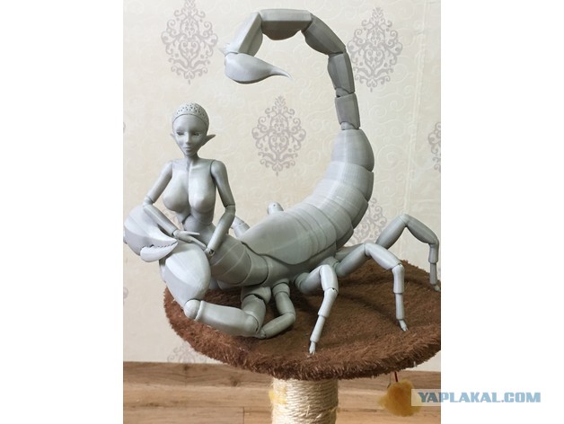 Шарианские каникулы