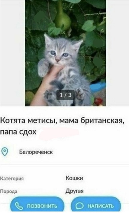 Моя любимая теория заговора