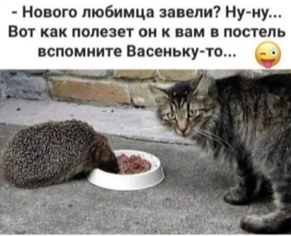 Завалялось тут случайно немного забавных картинок