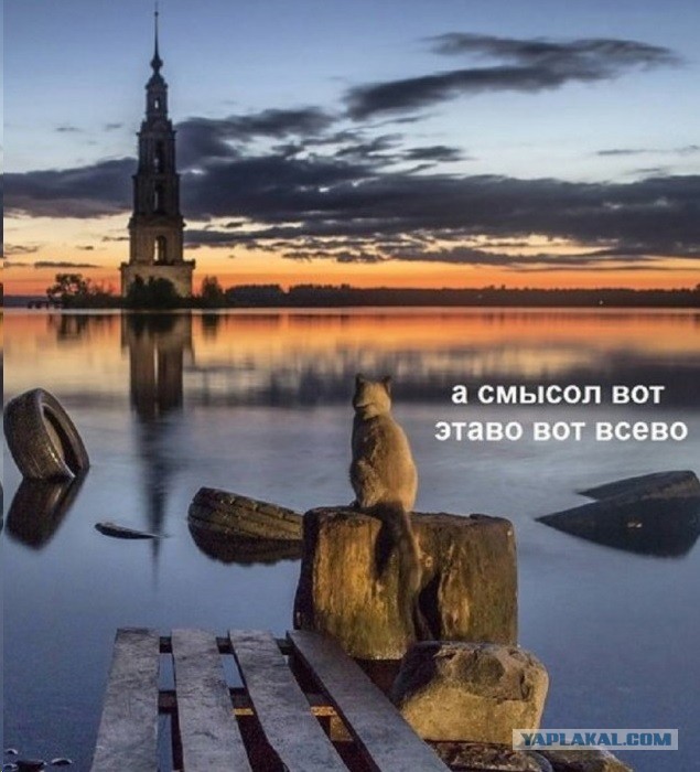 Так себе картинки 01.07.25