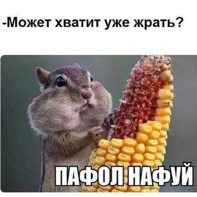 Хватит жрать орехи?