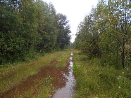 Пермский край. Осень, коллеги...
