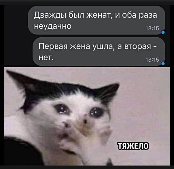 Дегрономикон депрессивный