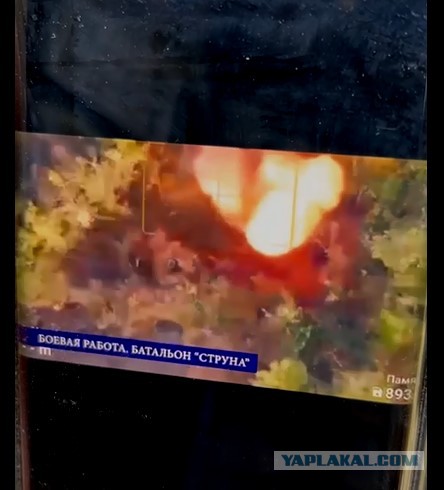 Украина резко активизировала контакты с белорусской оппозицией и перешла к более жёсткой линии в отношении Минска