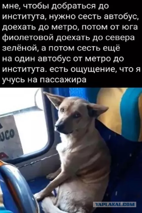 Картиночки, баянчики 28 марта