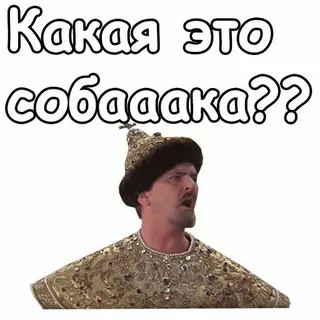 В Крыму женщина перегородила дорогу местной жительнице и скинула ее со скутера