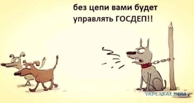 " Россия находится в середине пути к цифровому суверенитету"