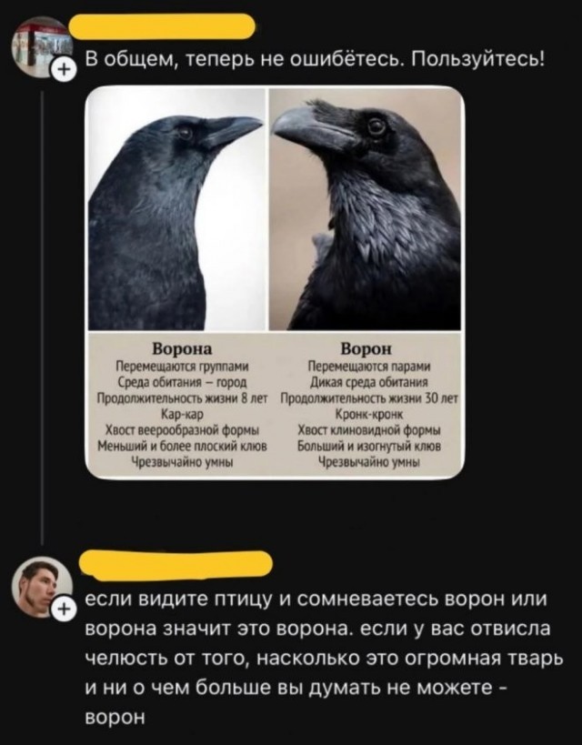 Веселые картинки в пятницу (24.04)