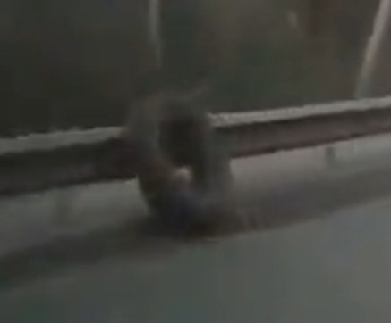 Убежало колесо