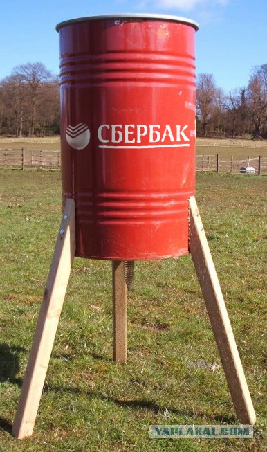 Маразмы года 2013